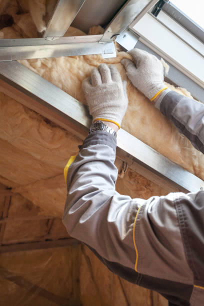 Best Energy Efficiency Insulation in Manchester, GA