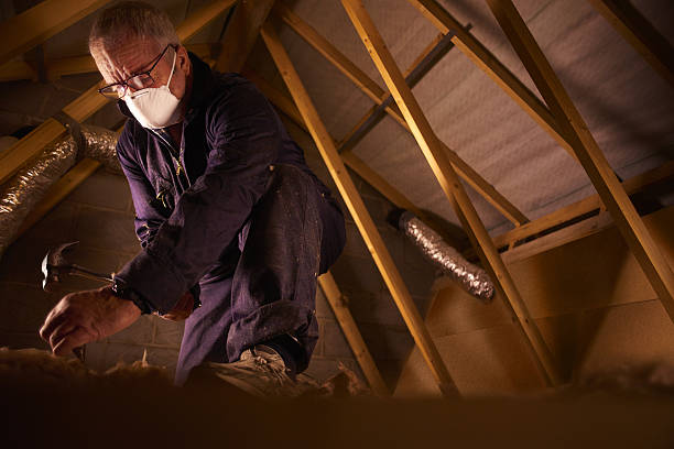Best Specialized Insulation Services in Manchester, GA